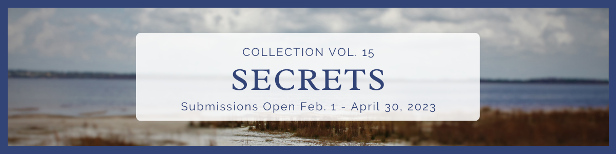 florida writers collection 15